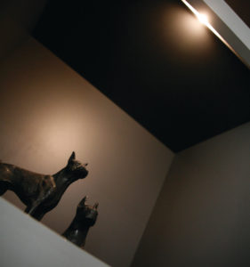 Illuminazione-mensole-con-faretti-led (2)